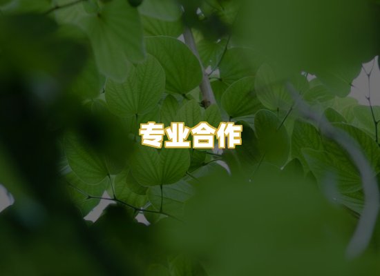 专业合作